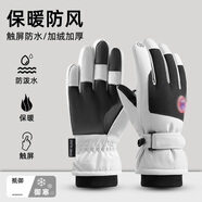 珂梵圖（Kefantu）騎行手套男冬季戶(hù)外滑雪防寒保暖2025新款觸屏棉手套女防風(fēng) 雪山黑白拼接(男款) 均碼