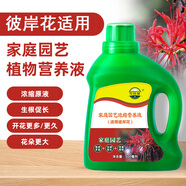 花玲瓏 適用于彼岸花營養(yǎng)液500ml 紅花石蒜曼珠沙華幽靈花植物濃縮營養(yǎng)液體肥料 活力素澆花水促生根 彼岸花營養(yǎng)液500ml