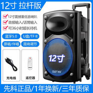 先科（SAST）廣場(chǎng)舞音響戶(hù)外拉桿藍牙音箱k歌帶無(wú)線(xiàn)話(huà)筒唱歌大音量低音炮 12寸重低音大音量拉桿藍牙音響 官方標配【無(wú)話(huà)筒套餐】