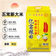 24年新大米億畝良田20斤10斤五常稻花香2號(hào)五優(yōu)稻4號(hào)長粒香軟米 億畝糧田10斤【專供款】 5kg*1袋