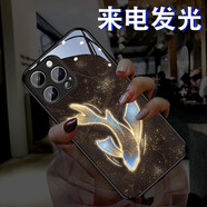 雅好（Yagoo） 中國(guó)風(fēng)手機(jī)殼適用于蘋果16ProMax手機(jī)網(wǎng)紅iPhone15來電發(fā)光外殼個(gè)性創(chuàng)意14國(guó)潮鹿新男女13保護(hù)套2 【歸魚】七彩聲控款 蘋果14(6.1寸)