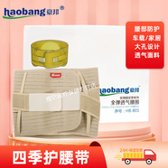 豪邦護腰帶 矯正帶腰椎腰間腰肌網(wǎng)狀醫用醫療加寬腰圍固定帶腰托支撐  HB-B01全彈透氣 L