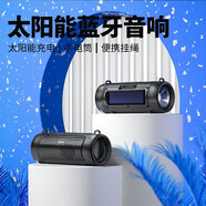 馳顧 無線藍牙音箱家用桌面低音炮電腦小音響可插卡U盤TF卡殼充電續(xù)航便戶外攜式小型可充電重低 手電筒可插卡藍牙音箱【送背帶】