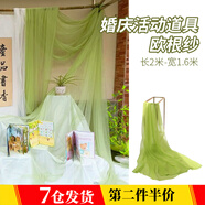 靚做 紗幔網(wǎng)紗布婚禮紗幔窗簾紗網(wǎng)紗布料幼兒園環(huán)創(chuàng)網(wǎng)紗舞臺拍攝道具 綠色2米【1.6米寬】