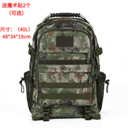 兵克星空戰(zhàn)術(shù)背包迷彩雙肩包19作訓(xùn)包 戶外雙肩包男軍迷背包大容量登山包 星空叢林迷彩背包