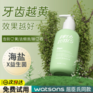 愛蘭歌娜益生菌牙膏口臭去黃去牙漬煙漬牙垢潔白牙齒清新口氣成人兒童通用 海鹽益生菌牙膏250g*2+牙刷*2