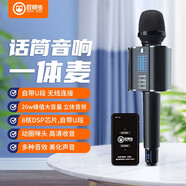 屁顛蟲(chóng)（Hifier） G20無(wú)線(xiàn)話(huà)筒音響一體麥克風(fēng)全民K歌手機直播聲卡套裝家庭KTV汽車(chē)唱歌帶U段 G20+電視K歌棒