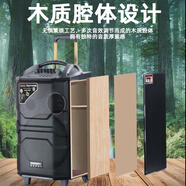 特美聲特美聲【清倉特惠】QX10-79戶(hù)外廣場(chǎng)舞視頻音響K歌室內戶(hù)外演唱演出藍牙大功率廣場(chǎng)點(diǎn)歌移動(dòng)拉桿 QX08-29單話(huà)筒