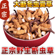 【支持質(zhì)檢】10克大斷草正宗冬蟲夏草斷草蟲草斷草自食滋補(bǔ)正品 蟲草大斷蟲草 30克裝送三克發(fā)33克