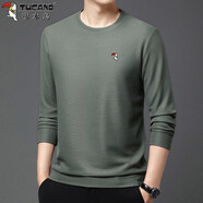 啄木鳥(niǎo)長(cháng)袖t恤男士圓領(lǐng)春秋新款中青年休閑純色套頭衛衣體恤打底衫男裝 淺綠 4XL (190) 建議180到210斤