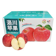 洛川蘋果陜西延安特產(chǎn)紅富士時(shí)令蘋果水果禮盒送蘋果生鮮新鮮脆甜整箱批發(fā) 24個(gè)80mm 優(yōu)選果 彩箱裝