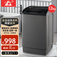 長虹新款25公斤全自動洗衣機(jī)家用50kg大容量智能風(fēng)干波輪洗衣機(jī)洗脫一體民宿賓館酒店醫(yī)院毛毯天鵝羽絨 12公斤熱烘干+洗脫一體+藍(lán)光洗護(hù)
