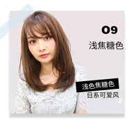 資生堂染發(fā)膏日本原裝進口染發(fā)劑在家自己染發(fā)純植物普盈絲 O9焦糖色 80g*1支 ·