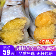 漁哥戲魚(yú)滿(mǎn)籽多春魚(yú)1000g  條條滿(mǎn)籽新鮮燒烤食材海鮮水產(chǎn)