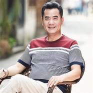 暢印 爸爸短袖t恤40-50歲中老年人半袖打底衫T恤衫夏裝中年男士冰絲衣服爺爺 dx-608紅色 L-170-建議120-135斤