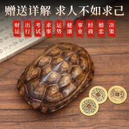 百年江南烏龜殼真龜甲文玩六爻搖工具算掛玩卦道具乾隆銅錢(qián)古幣手把件擺件 精品龜殼小號(hào)【送銅錢(qián)+保養(yǎng)油】