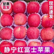綠美鮮城甘肅靜寧紅富士蘋果冰糖心時(shí)令脆甜平安蘋果當(dāng)季新鮮水果生鮮禮盒 果徑70-75mm （推薦）帶箱10斤