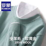 羅蒙（ROMON）100%純羊毛針織衫男士秋冬商務(wù)休閑圓領(lǐng)套頭毛衣男柔軟親膚保暖衣 薄荷綠 L/175碼