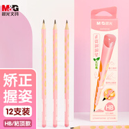 晨光(M&G)文具 HB洞洞鉛筆12支 兒童正姿矯姿鉛筆學(xué)生練字筆 易握不易斷無鉛毒筆 粉色款A(yù)WP307A8