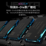 宏碁掠奪者（PREDATOR）16G(8G×2)套 DDR4 3600頻率 臺式機內存條 Vesta 炫光星艦系列（C14）B-die顆粒