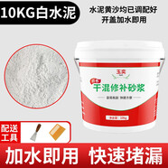 玉奕 直用水泥砂漿防水涂料堵漏王快干水泥花盆制作家用速干水泥黃沙補漏王 10kg【白色水泥】送工具