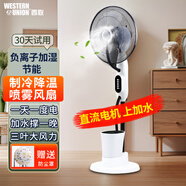 西聯(lián)噴霧風(fēng)扇家用加水霧化加濕風(fēng)扇制冷空調(diào)扇客廳臥室辦公室大風(fēng)力電風(fēng)扇節(jié)能省電搖頭落地扇 09機(jī)械款/上加水