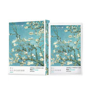 李醫生積雪草舒緩保濕修護面膜 李士玻尿酸毛孔凈化緊致凈膚控油面膜 毛孔凈化聯(lián)名款面膜15片