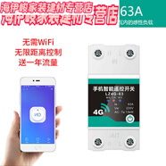 語(yǔ)森憶智能無(wú)線(xiàn)wifi手機遠程控制遙控開(kāi)關(guān)220v易微聯(lián)空調水泵路燈 4G版20V-63A13千瓦無(wú)需WIFI