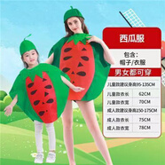 席佰兒童水果表演服裝 蔬菜服裝演出幼兒園六一親子環(huán)保時(shí)裝秀節日造 西瓜 成人款(150-175cm)