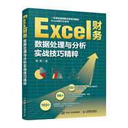 Excel財(cái)務(wù)數(shù)據(jù)處理與分析實(shí)戰(zhàn)技巧精粹（異步圖書出品）