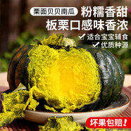 密農(nóng)人家 正宗貝貝南瓜 板栗小南瓜 粉糯香甜 栗面貝貝南瓜3斤/5斤 2.5kg裝