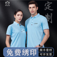 柚衫 企業(yè)polo定制工服定做工衣刺繡文化廣告衫印字logo短袖工作服訂做t恤翻領(lǐng) 高端-淺藍(lán) XL(女款)