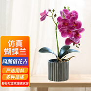 百動(dòng)蝴蝶蘭仿真植物花卉盆栽辦公室桌面綠植塑料花紫紅色九頭加大32cm
