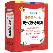 小學生多功能現(xiàn)代漢語詞典 （彩色插圖版）現(xiàn)代漢語詞典 中小學生工具書 漢語詞典