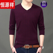恒源祥品牌高檔男裝 秋冬季薄款針織羊毛男V領(lǐng)純色打底針織衫毛線(xiàn)衣中青年男裝長(cháng)袖T恤秋冬 浩1820紫紅 170/L建議(120-140斤)