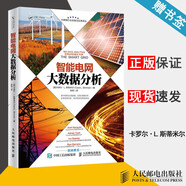 包郵 智能電網(wǎng)大數(shù)據(jù)分析 卡羅爾·L.斯蒂米爾 人民郵電出版社 大數(shù)據(jù)行業(yè)實踐與應(yīng)用譯叢