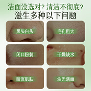 梵西葉綠素氨基酸細嫩潔面乳潔顏綠泥洗面奶收縮控油深層清潔毛孔白泥 梵西葉綠素潔面乳100g*4支