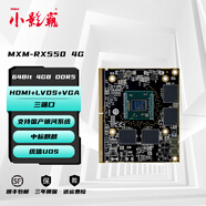 小影霸 RX550/550X 2/4G DDR5 LP全新顯卡行業(yè)規格2U工控mxm顯卡臺式電腦適配國產(chǎn)麒麟系統獨立顯卡PCIE  【MXM-RX550 4G】行業(yè)定制