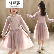 軒蝶莎女童連衣裙春秋裝3-13歲小女孩穿的韓版洋氣中大童加絨加厚兒童連衣裙冬公主裙 粉色 【皮粉】春秋P378 130