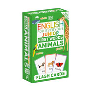 DK新視覺(jué) English for Everyone Junior First Words Animals Flash Cards 人人學(xué)英語(yǔ) 動(dòng)物單詞卡 進(jìn)口原版 英文書(shū)