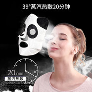 超亞蒸汽面罩臉部加熱面膜加熱器面膜伴侶面部發(fā)熱蒸臉熱敷 純甄型【買(mǎi)2送1】實(shí)發(fā)30片