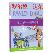 好小子--童年故事/羅爾德·達(dá)爾作品典藏 小學(xué)生課外讀故事書
