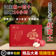 靈寶蘋果 LINGBAO APPLE河南靈寶寺河山紅富士天然富硒鮮嫩多汁老少皆宜禮盒裝（無標(biāo)） 90-95mm(12個裝)