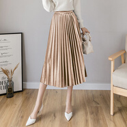 纖晟伊金絲絨半身裙2020年秋冬季新款韓版顯瘦網(wǎng)紗壓折中長(cháng)裙百褶 杏色金絲絨 均碼