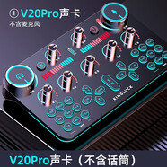 金運(yùn) V20聲卡直播設(shè)備全套麥克風(fēng)錄音套裝話筒唱歌手機(jī)藍(lán)牙電腦無線變聲器電容麥全民K歌抖音快手 單聲卡（無話筒）