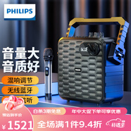 飛利浦（PHILIPS）新款SD60 移動無線藍牙音箱廣場音響戶外音箱便攜式K歌 黑色 套餐二 旗艦版雙話筒