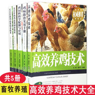 高效養(yǎng)雞系列養(yǎng)雞技術(shù)大全書籍 全5冊 雞病防治實用手冊 雞飼料科學配制與應(yīng)用 無公害肉雞蛋雞養(yǎng)殖技術(shù) 農(nóng)村畜牧養(yǎng)殖書籍