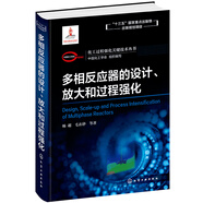 化工過程強(qiáng)化關(guān)鍵技術(shù)叢書--多相反應(yīng)器的設(shè)計(jì)、放大和過程強(qiáng)化