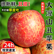 四川大涼山丑蘋果冰糖心鹽源蘋果水果禮盒當(dāng)季紅富士整箱新鮮蘋果 9斤 80mm-85mm（不含）
