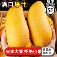 捌零鮮生物語(yǔ)（順豐JD）正宗金煌芒果新鮮水果 特大果芒果 青皮芒果水果禮盒 9斤精品大果（精選）